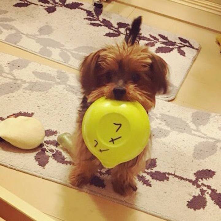 B220f57b ad8e 4fb7 9000 fa33e2ad2d2b 1515661934053