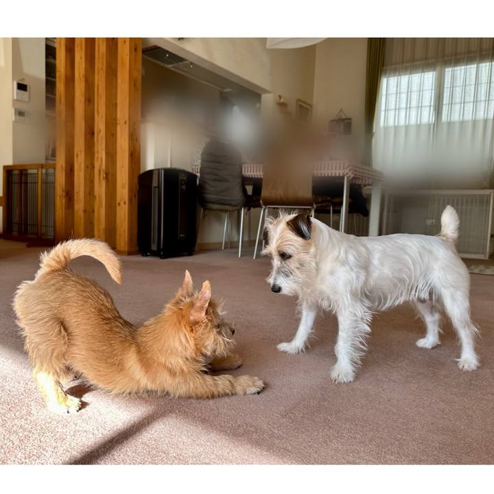 B22154ad 2edf 4adf a887 0f6e70749f8d 1705975250754