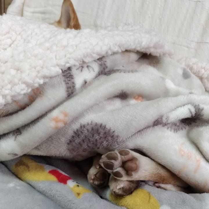 B2215baa 9451 49ff 9777 53a3b33ec8c8 1611620062800