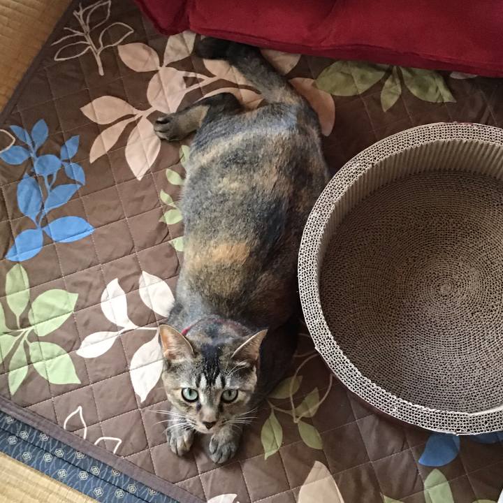 B2215d94 fd32 49ee abad be4f8abdbe57 1602034579392