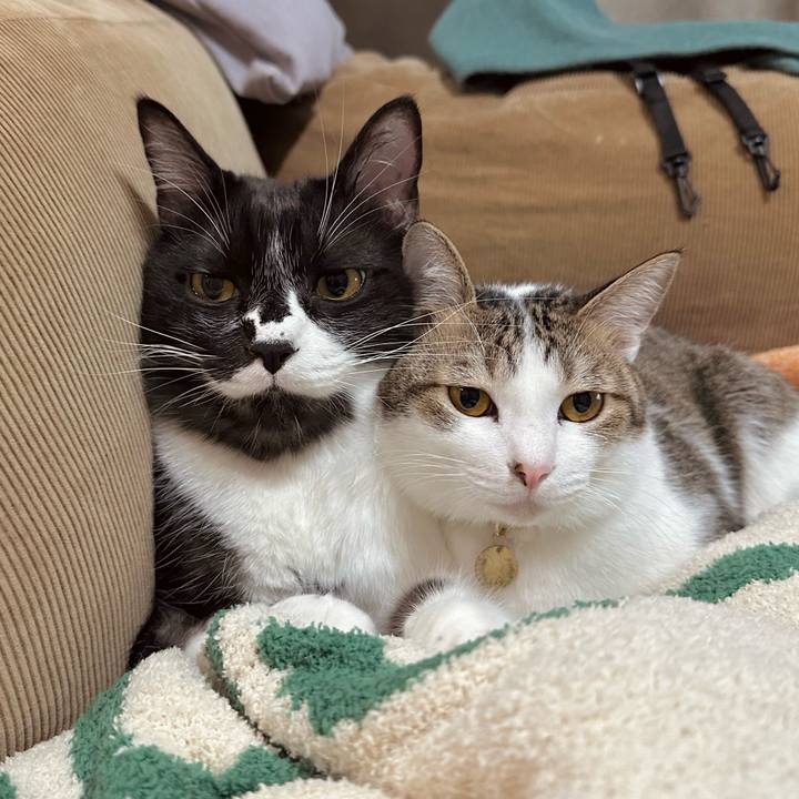 B221757c 89e0 49ee 84a0 e4dcacccb85e 1764854148590