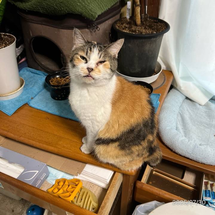 B2218ced 7622 49ff aac1 7180027defbe 1753826604624