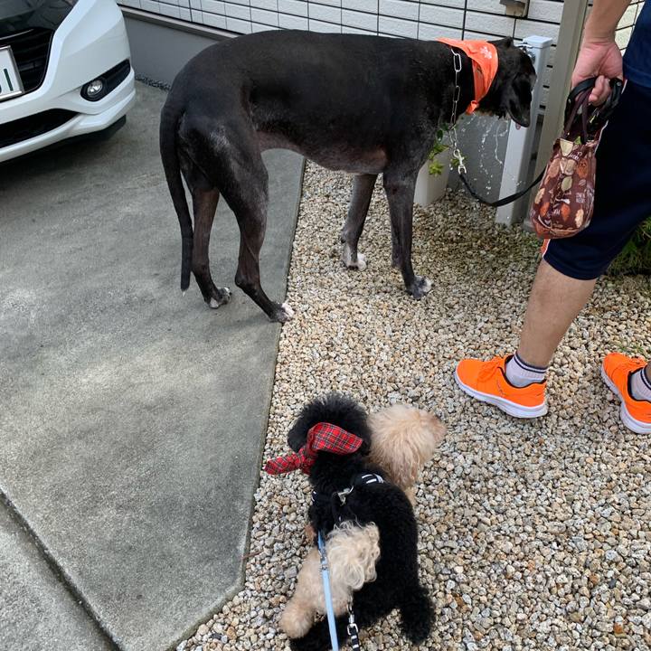 B221925e 8a1a 4359 ad7d ed2687efac33 1596324318599