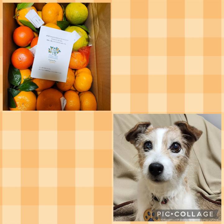 B221cefe 5076 46d7 bf98 95fcf7e5d4c7 1765873736508