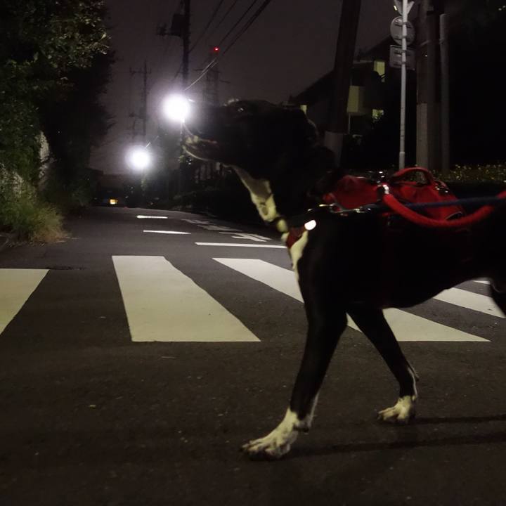 B221cfd7 8709 4c5a a4d4 f338daf2e980 1601199780843