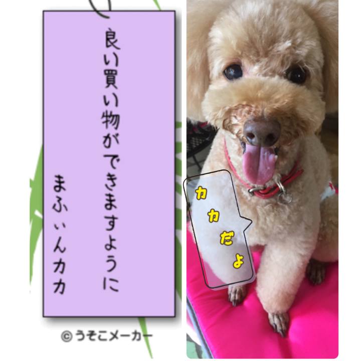 B221e262 51ec 46f2 8652 928845044841 1531087717638