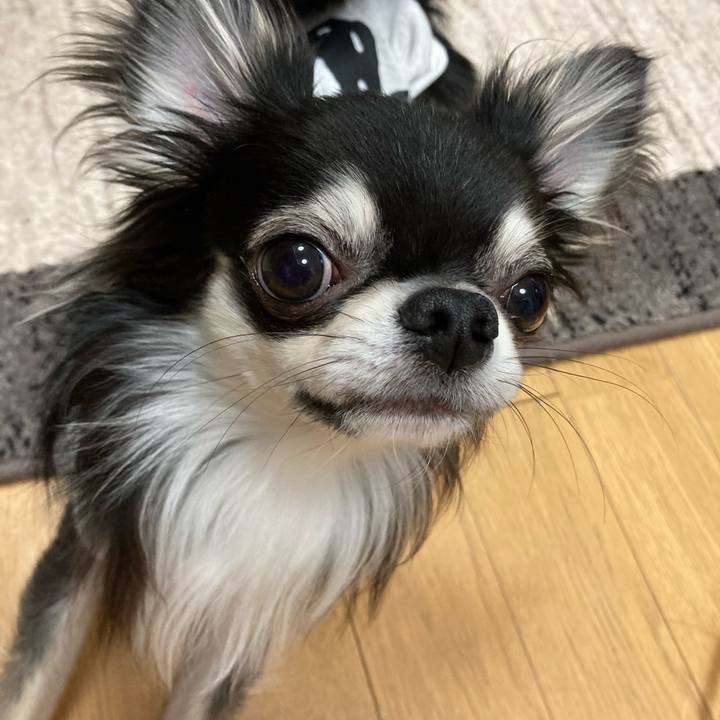 B221e7d6 4bf1 4970 963a 9a7f2445c429 1616334705450