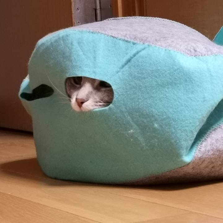 B221f26a 2e94 4b07 ba07 12c4ebe10a03 1572360105457