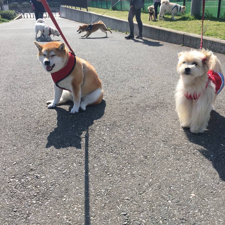 B221f9f2 a300 4dc9 95d8 c1b8933f66ce 1616549622821