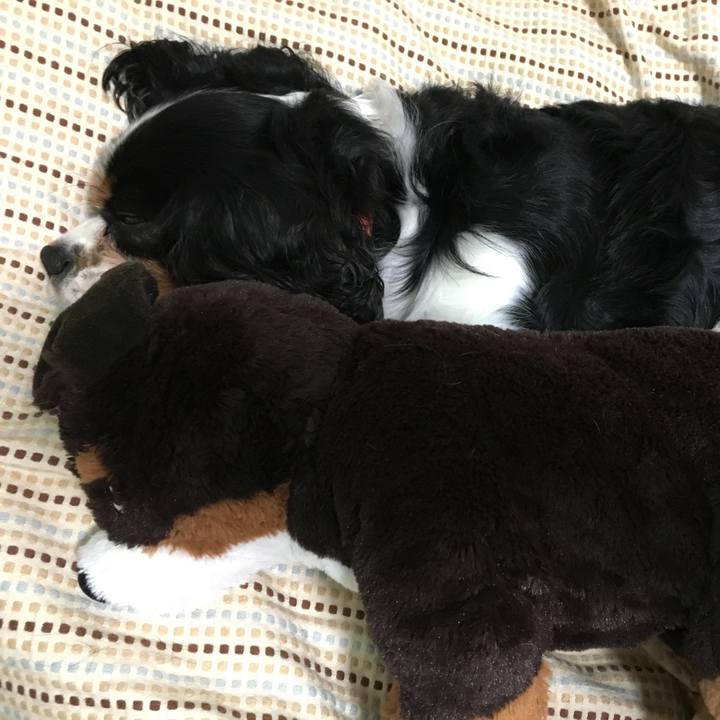 B2224141 442a 4e43 a755 994c46b034c2 1521081130902