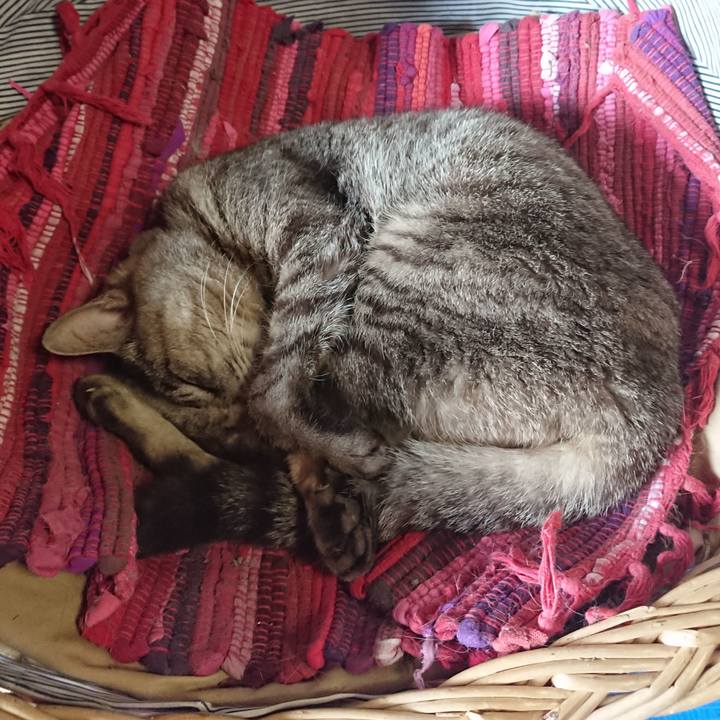 B22288a7 3861 4022 b7ad 7611b07582b1 1558838894586