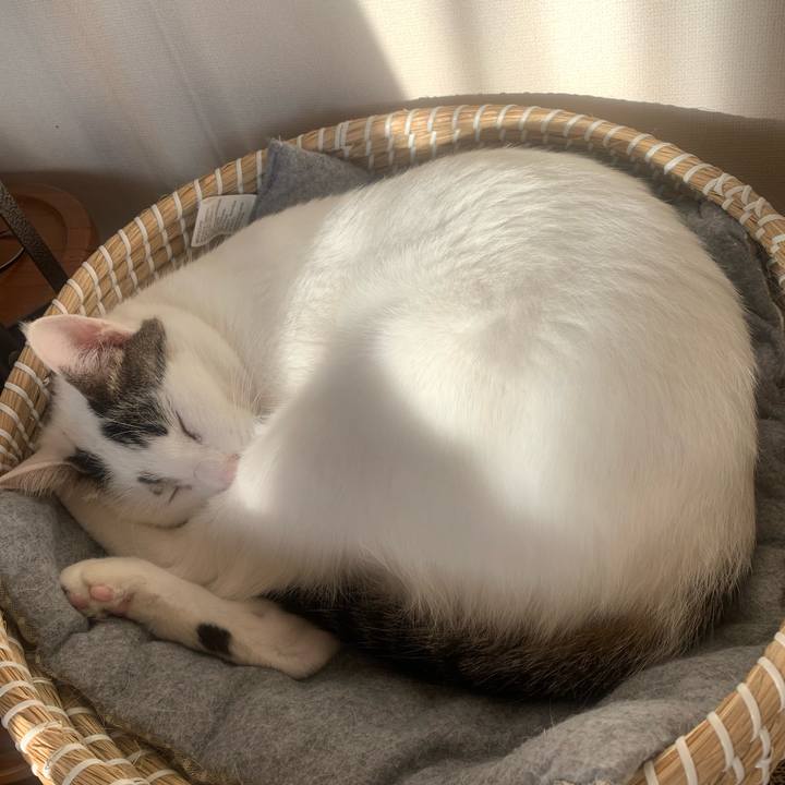 B2228ed8 5cbd 4893 982a 46755e3930ec 1672735226330