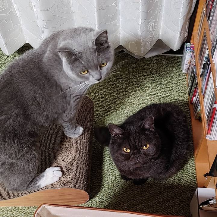 B2229e6c c226 437f 81d4 e06964d516b6 1633435398142