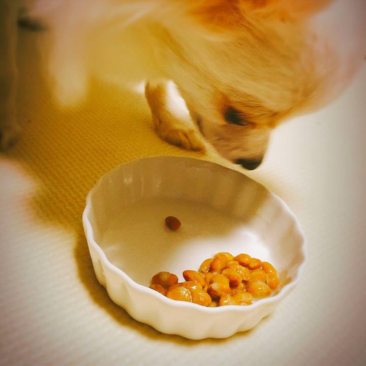 B222fb82 c5f7 4958 b7d2 49c4c0b5c6df 1516739813703