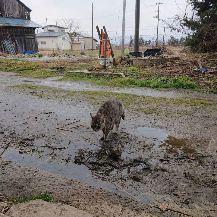 B22349a4 359c 4d7b 8e9a d8af82c8e30d 1583358893921