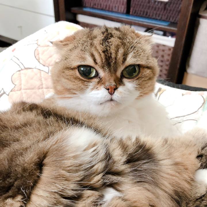 B223767b 348e 44d3 aaf6 7c24b206a6ed 1560634678548