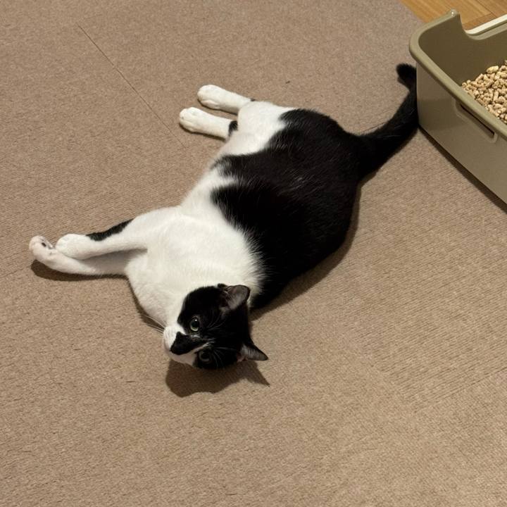 B22386b7 88ff 41d2 8c95 337b28dc5143 1773096932342