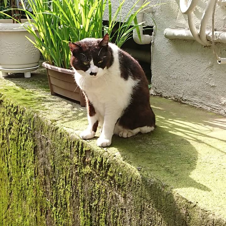 B223ab7c b73e 4699 9b38 e437a8d5f2e5 1686205945586