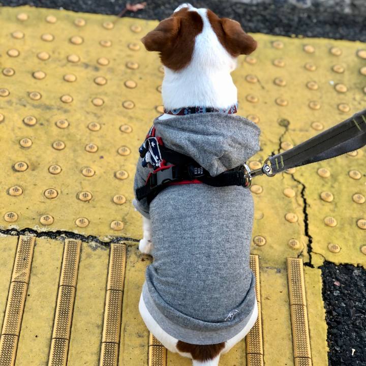 B223abc1 d18a 447b a113 bd52e4a9edae 1667012956343