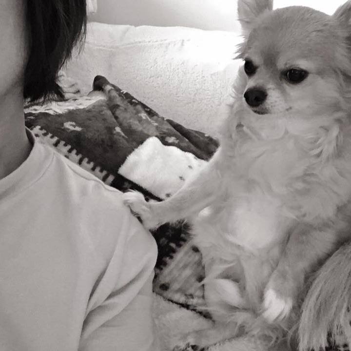 B223e272 b4a5 4a0c a7b6 7460a8b836c3 1518911124280