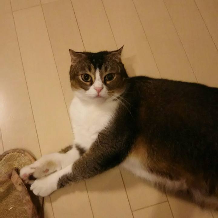 B2240247 8047 4061 b830 65e2d99e3784 1536532913094