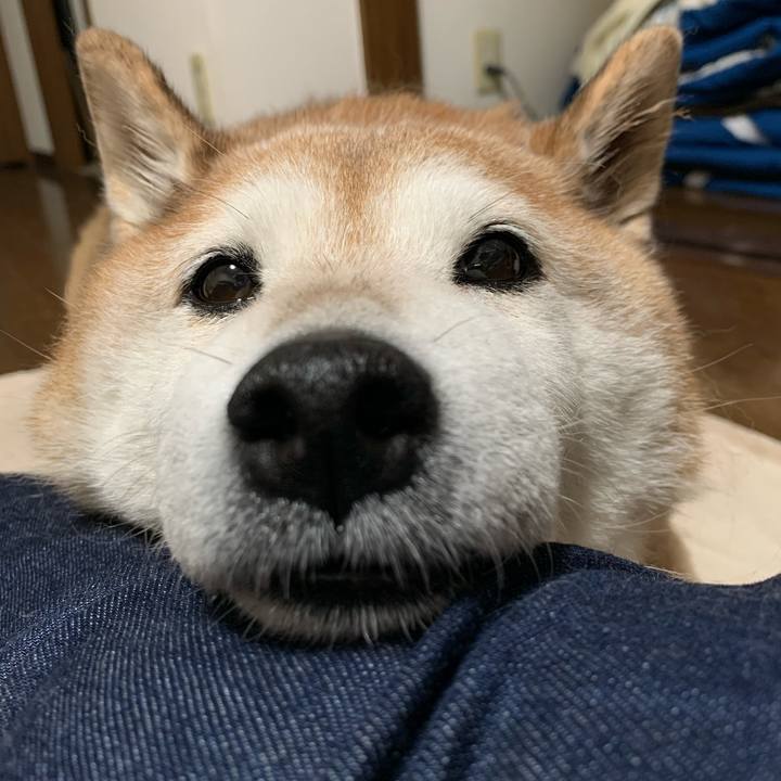 B22407ea 49cc 4abe 9665 9d36d96f4879 1572346790941