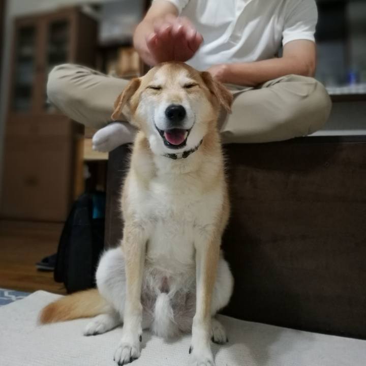 B2241329 d692 41ff 8519 1238d339b920 1527511321822