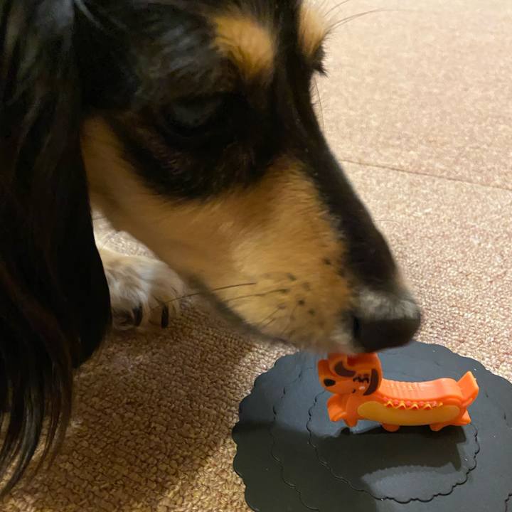 B22419ab f68e 4db9 bd1f 8e873e7e1800 1732983892586