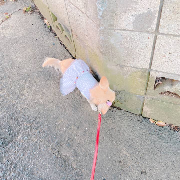 B2242f66 67d6 4d12 8221 61a19545f7cc 1638433318638