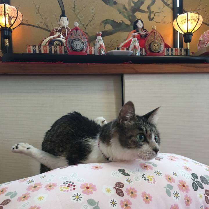 B2244690 033d 4f6a a458 0fe5b453f395 1709242907193