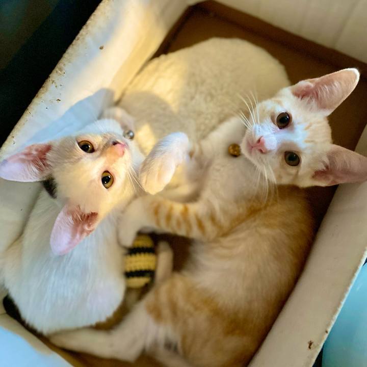 B224936a f6ec 4bbd b6f3 4180a05097c6 1689326952316