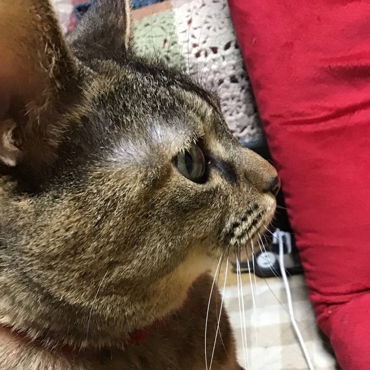 B224bc53 eb6b 4264 a646 e85158fc9468 1703580746718