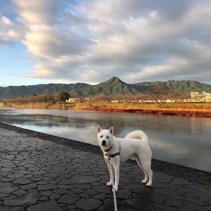 B224c4ed fa8d 43e3 a0a5 b7e64e2a46db 1579733952807