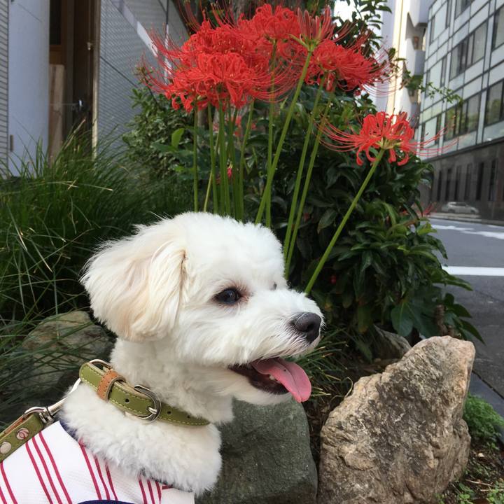 B224fc5a b745 404c ba68 c31c36553949 1537151598553