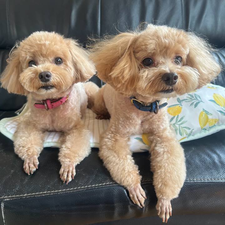 B225405d 5235 4656 b614 4dc5861b5499 1759020841271