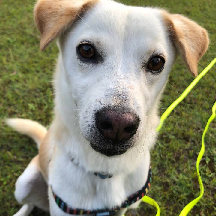 B225476b 35a6 43c8 b929 bffc012a9620 1623326642752