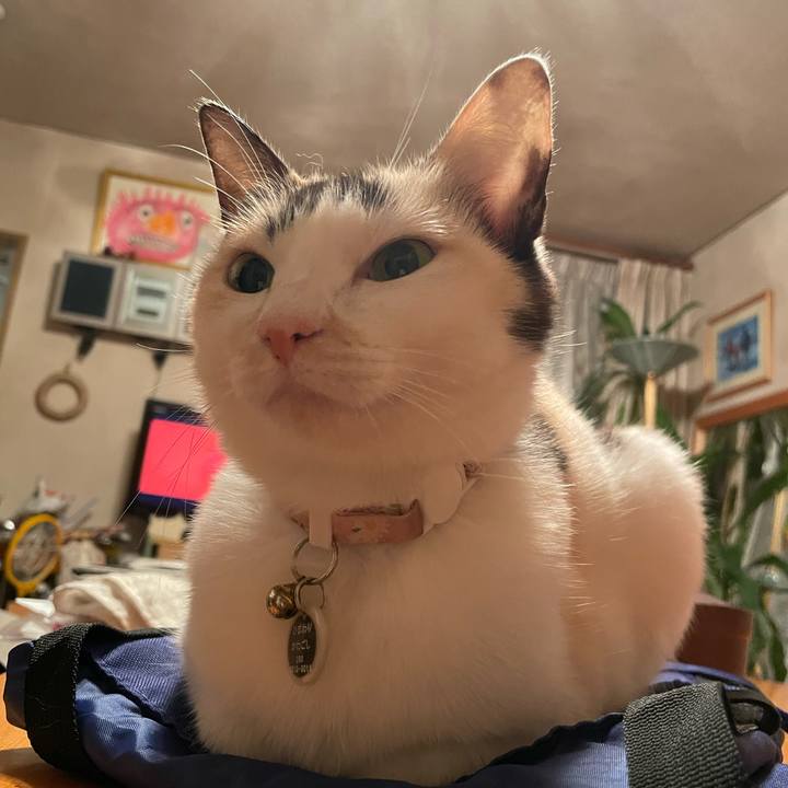 B2256cb3 9408 4e45 9fb3 b6c6331df468 1732545468753