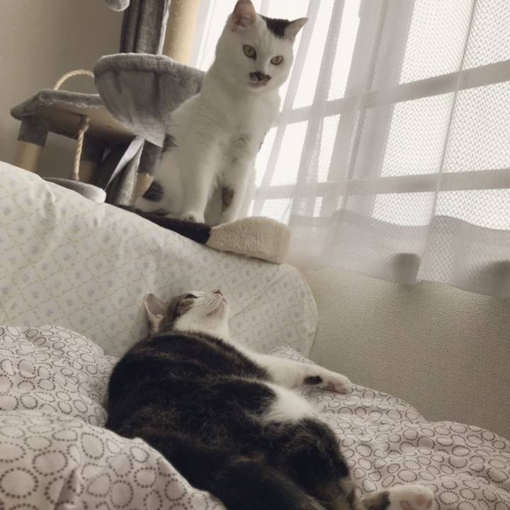 B225b6bd 0c7c 4926 a76c 95280b20967a 1558343276735