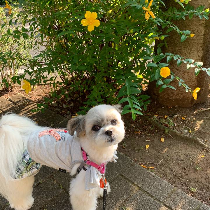 B225eef4 9dd9 417d a5c3 5f3405cc6f45 1591657085084