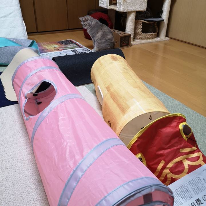 B2260f60 85fc 43d1 bcb6 4d9e53c468fa 1580695369408