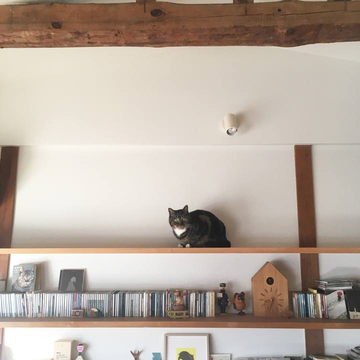 B2262253 f8ee 470f a040 286308011a68 1575382186207