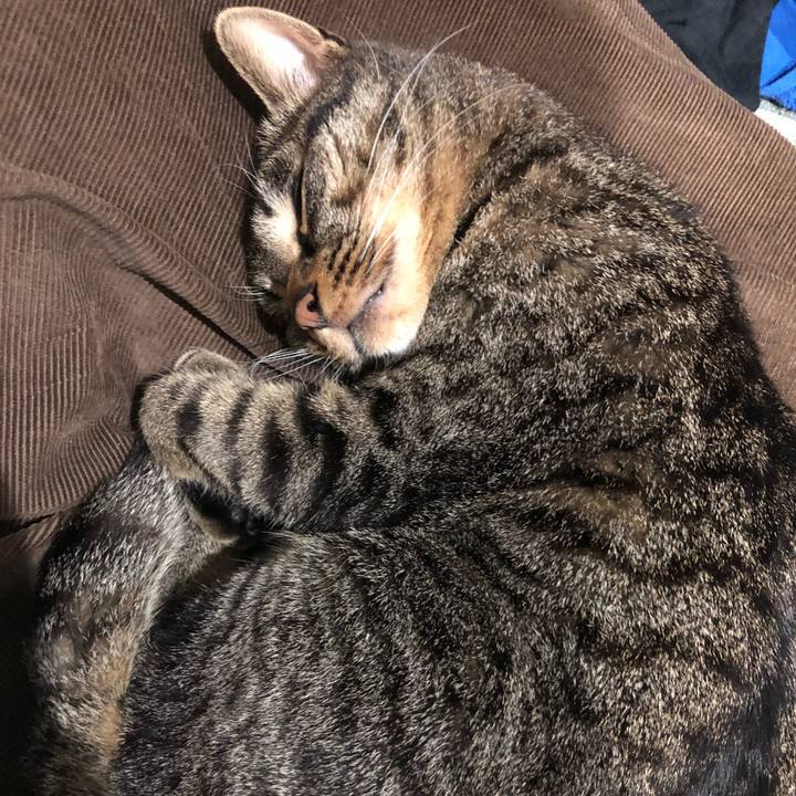 B22623b5 cde4 4ef1 8ed5 fa26ca6a5060 1523280688283