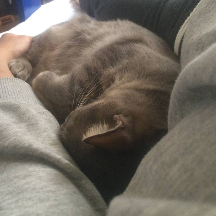 B22631de 297a 4db4 9f24 cced4eb04b2f 1538279538738