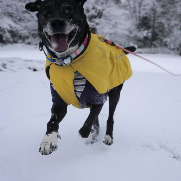 B226378c 2bc7 4633 be65 0ec17e0de434 1770508566468