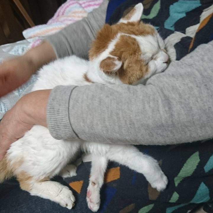 B2266177 0493 49ef a956 9963a04a8fd4 1577611893431