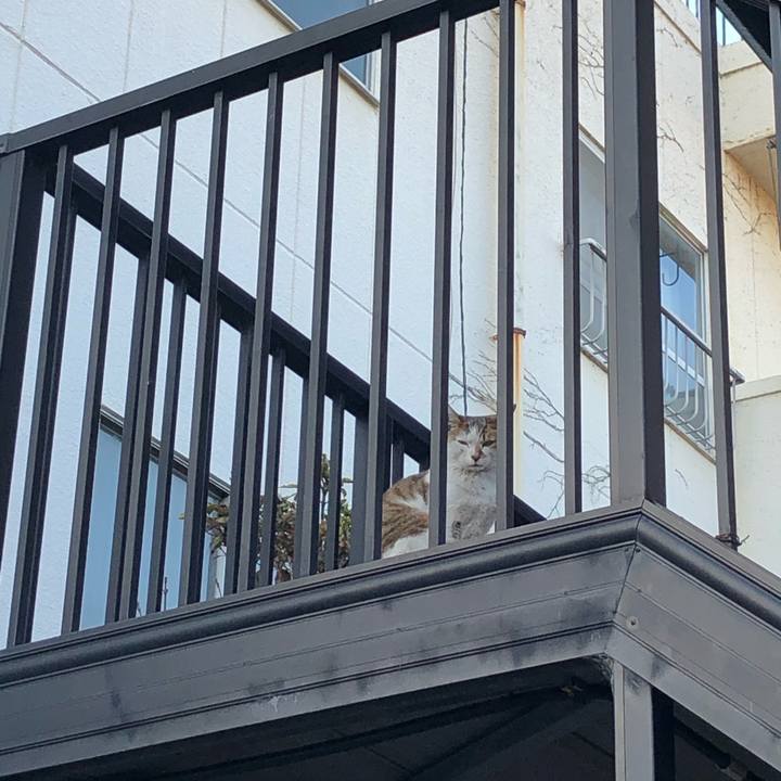 B22661be 52eb 4e80 a833 a0c87cc228cc 1609892791797