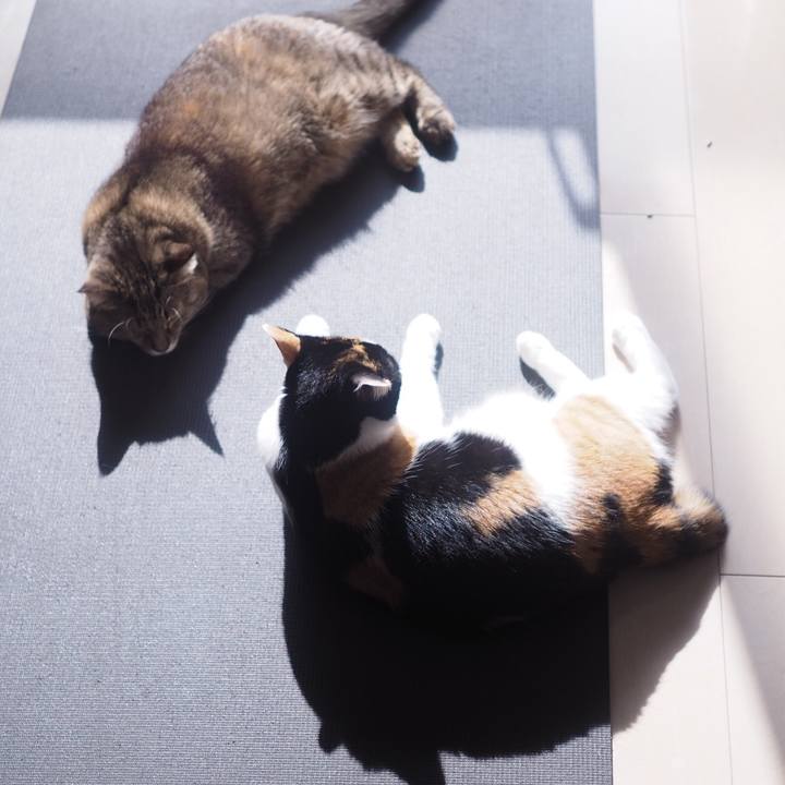 B22673dd d87a 45b4 ab73 aaf378ca44d6 1516508591069