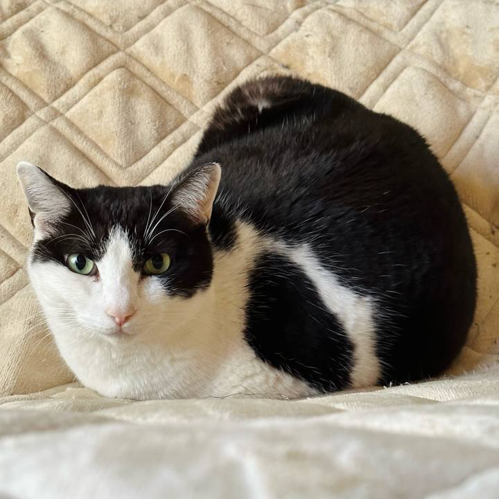 B22698e1 56d4 423b 95fe 73bc10670efe 1678326314157