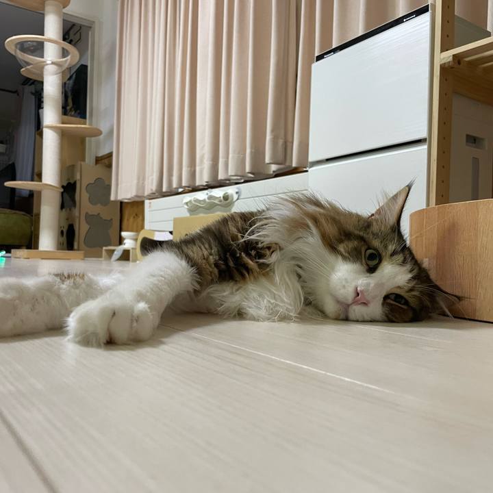 B226ab9b 9ba8 465f a951 6d5869b7eb8e 1692732698969