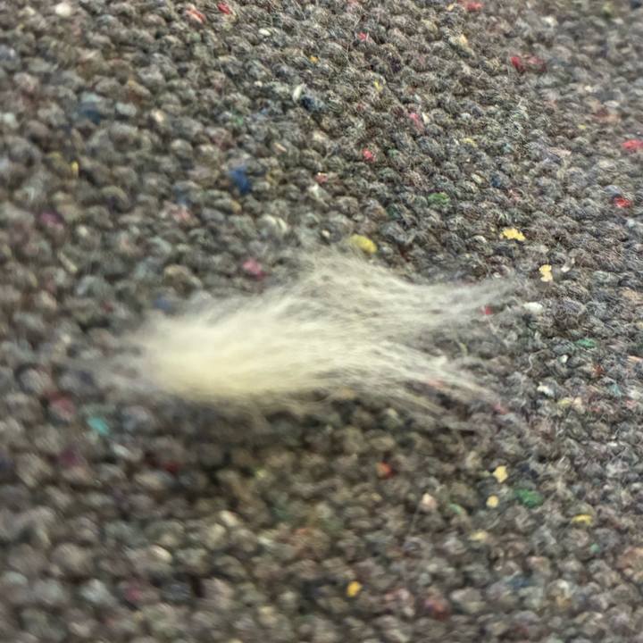 B226ce47 3ed1 4943 a8b6 1c6359750380 1759933239525